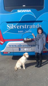 hyra buss i Kalmar & Öland